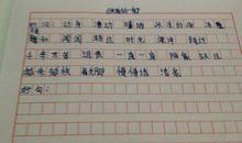 有趣的时光_450字