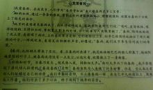 大树的心声_750字