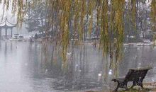 诗人的眼泪——往事依旧_2000字