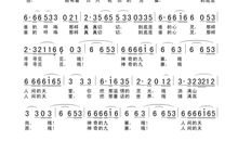 神奇的网络_500字