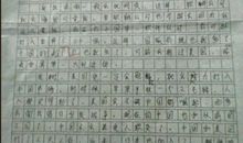 我的成果_300字