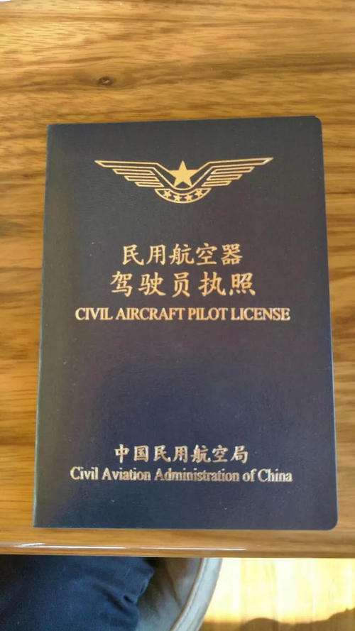 我的梦想作为飞行员_450字