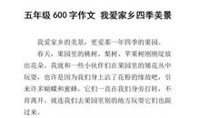 我爱家乡的四季_650字