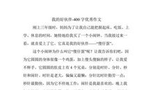 马小平理论_400字