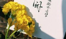 偷得浮生半日闲_900字