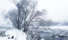 我爱家乡的雪_700字