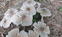 送给每个看过的读者_350字