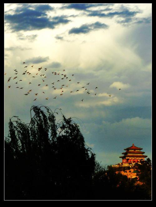 心中的风景_1200字