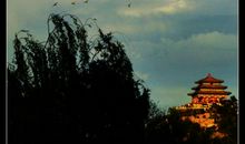 心中的风景_1200字