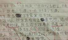 再见了，奶奶_800字