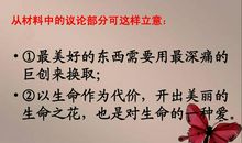 关于成熟的作文：成熟的代价_1200字