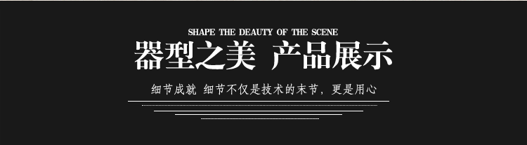 襄阳明星_200字