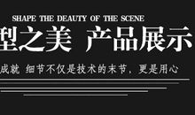 向阳的星星_200字