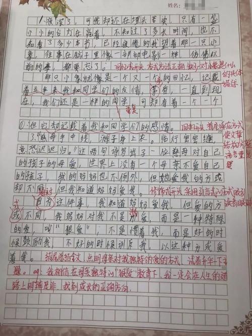 关于成熟组成：增加成熟度_700字