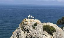 一次不寻常的经历_450字