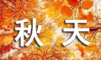 秋天的爱_350字