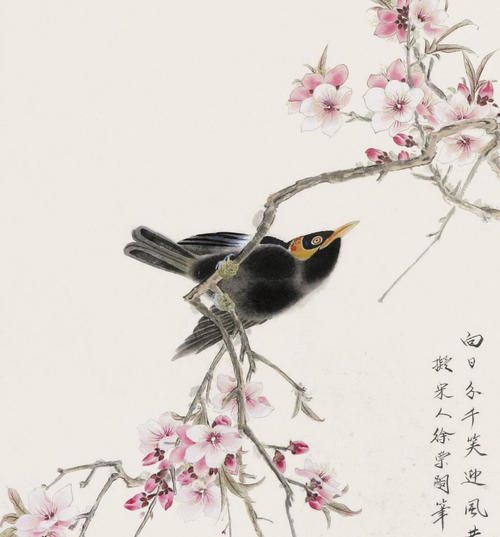 花与yan返回_350字