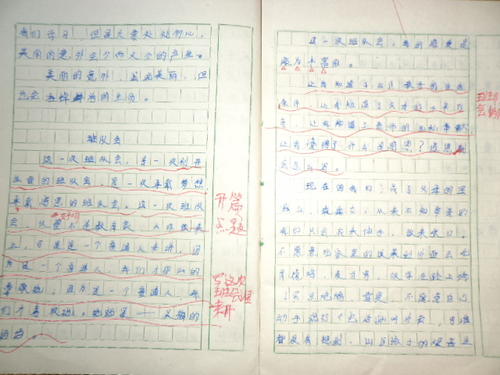 我长大了（26）_800字