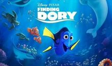 《海底总动员》观后感_250字