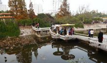 美丽的紫荆山公园_300字