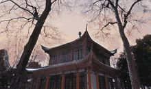 心灵的脚步_800字