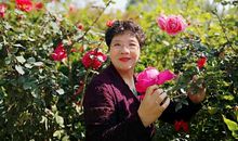 那春，让我陶醉_350字