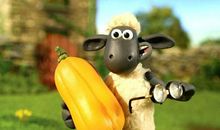 《小羊肖恩大电影》观后感_800字