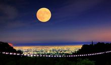 中秋夜，明月情_900字