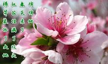 又是一年春草绿_1500字