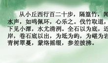 四年级读后感：读《小石潭记》有感_300字