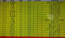 《笨笨与小白》观后感_300字