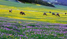 春天，那美丽_1500字