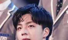 偶像——那个令人心疼的男孩_350字