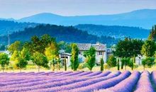 阳光里的天堂_600字