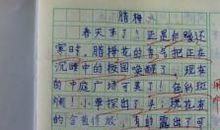 寻找_600字