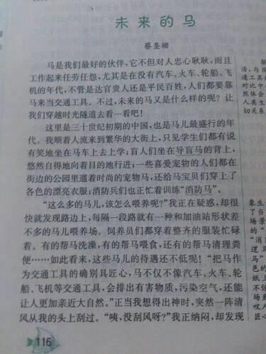 真正快乐_300字