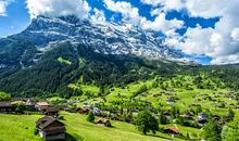 走进自然——心中美景_750字