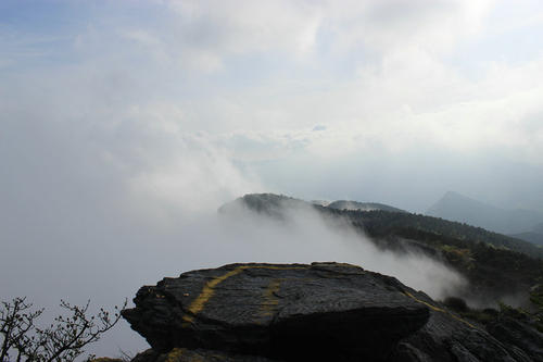 庐山东南五鲱鱼，青田削减金芙蓉
