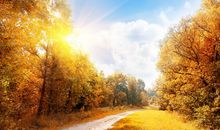 以风景为话题的作文_650字