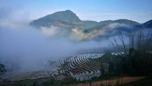 美丽的漳州_1200字