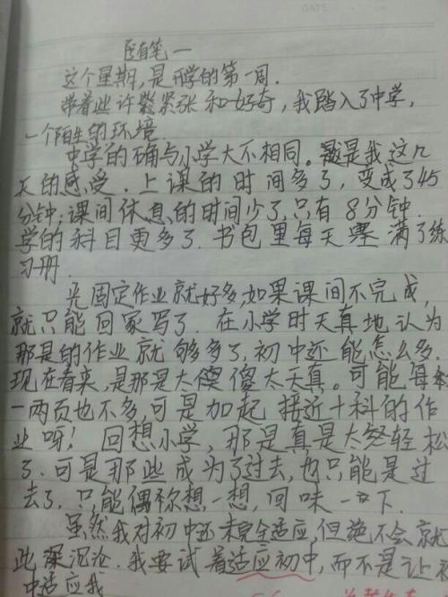 青年筹码_550字