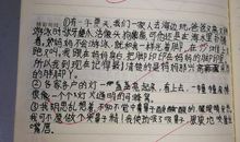 珍惜童年_800字