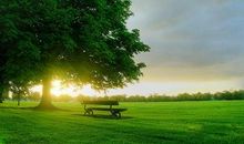 我用我的眼睛看世界_500字