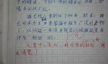 美？只是外表_400字