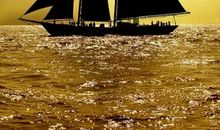 心中的一抹阳光_550字