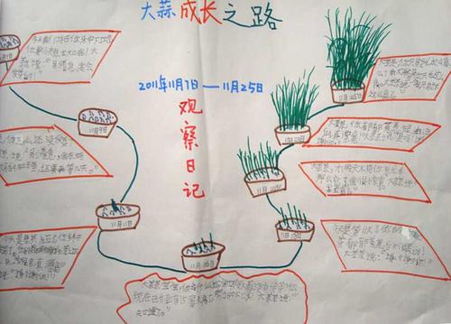 我明天会留下_700字