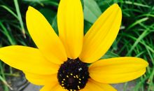 春天真美丽_250字