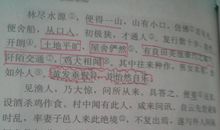 我的期中考试_750字