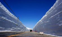 最想忘记的一件事_650字