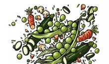 最美的色彩_500字